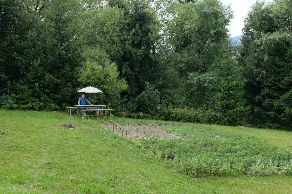 Pensiunea Flori De Camp Vatra Dornei Exterior foto