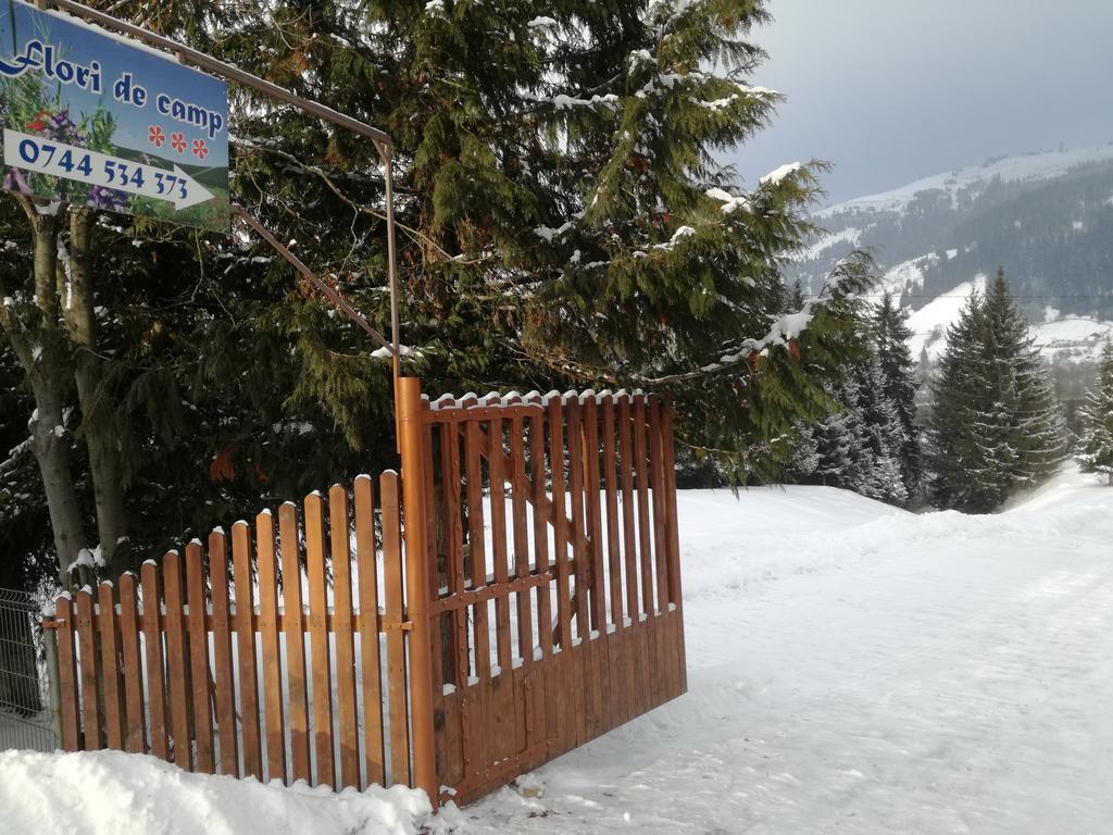Pensiunea Flori De Camp Vatra Dornei Exterior foto