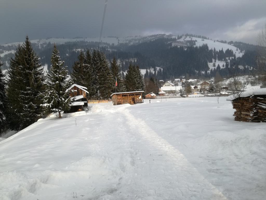 Pensiunea Flori De Camp Vatra Dornei Exterior foto