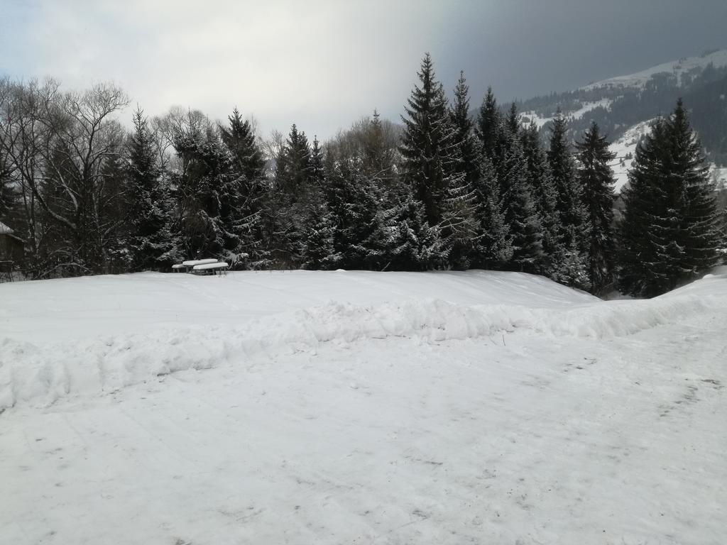 Pensiunea Flori De Camp Vatra Dornei Exterior foto