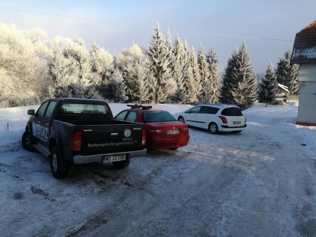 Pensiunea Flori De Camp Vatra Dornei Exterior foto